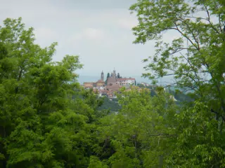 DSCN2202
