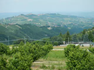 DSCN2201