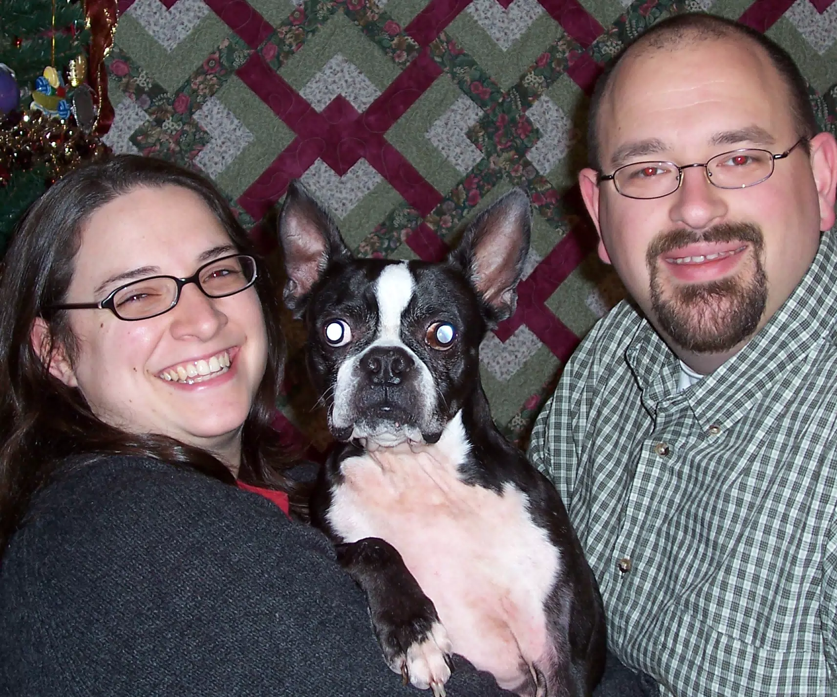 Christmas with Oreo No. 4 - Dominica Miller and Scott Alan Miller