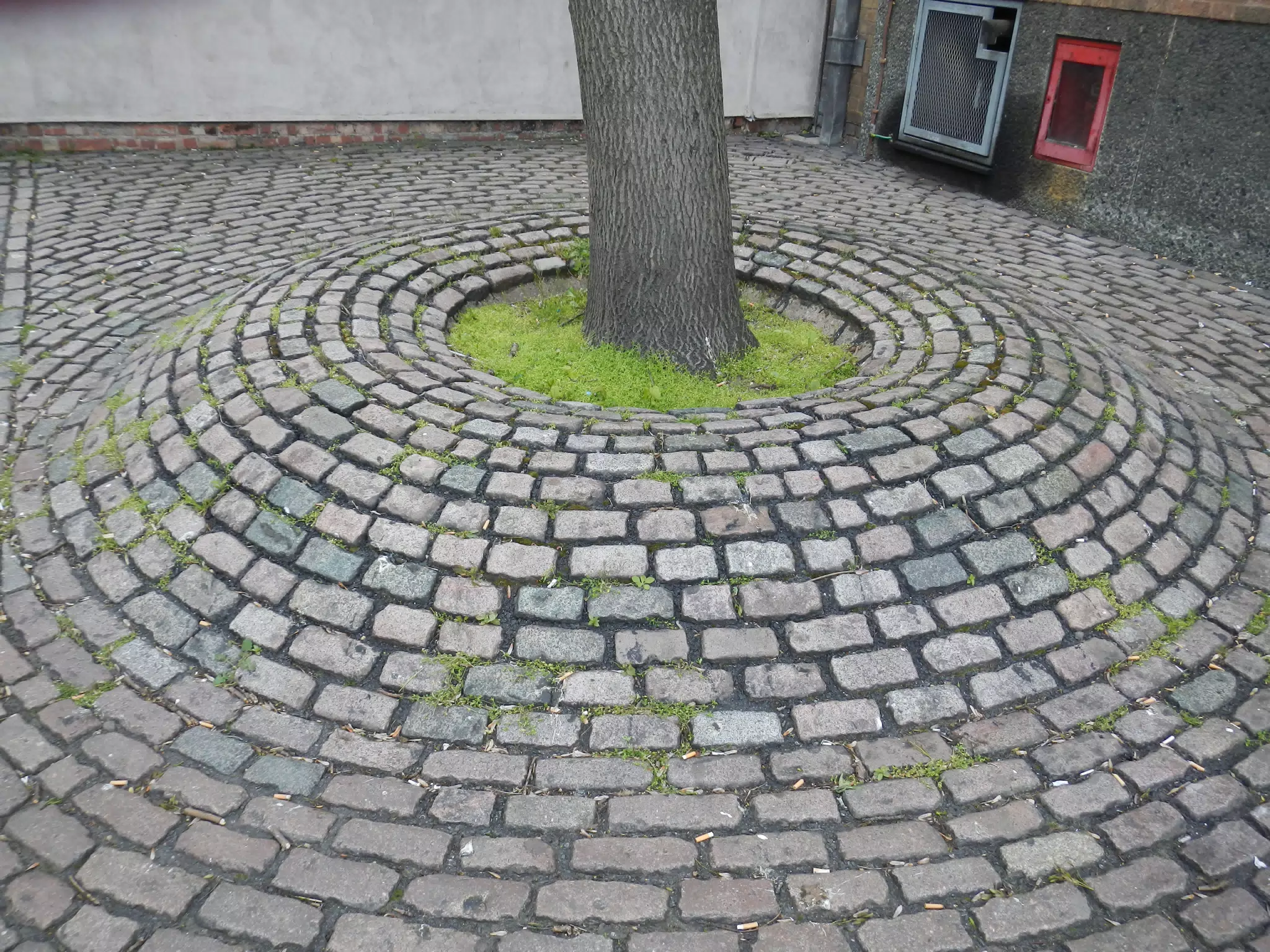 Cool Brick Tree Surround