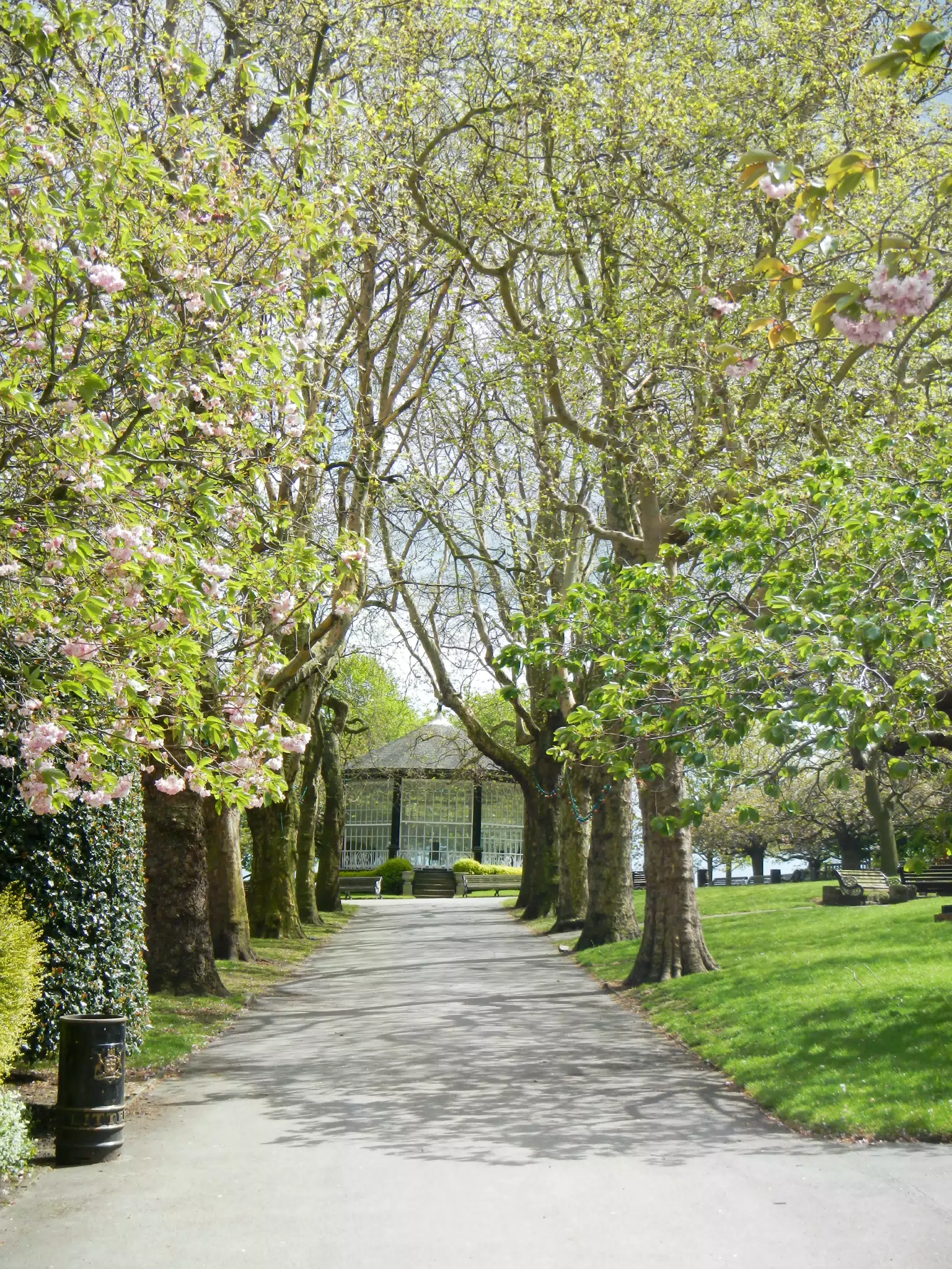 Tree Lined Path at Nottingham Castle