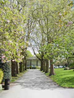 Tree Lined Path at Nottingham Castle