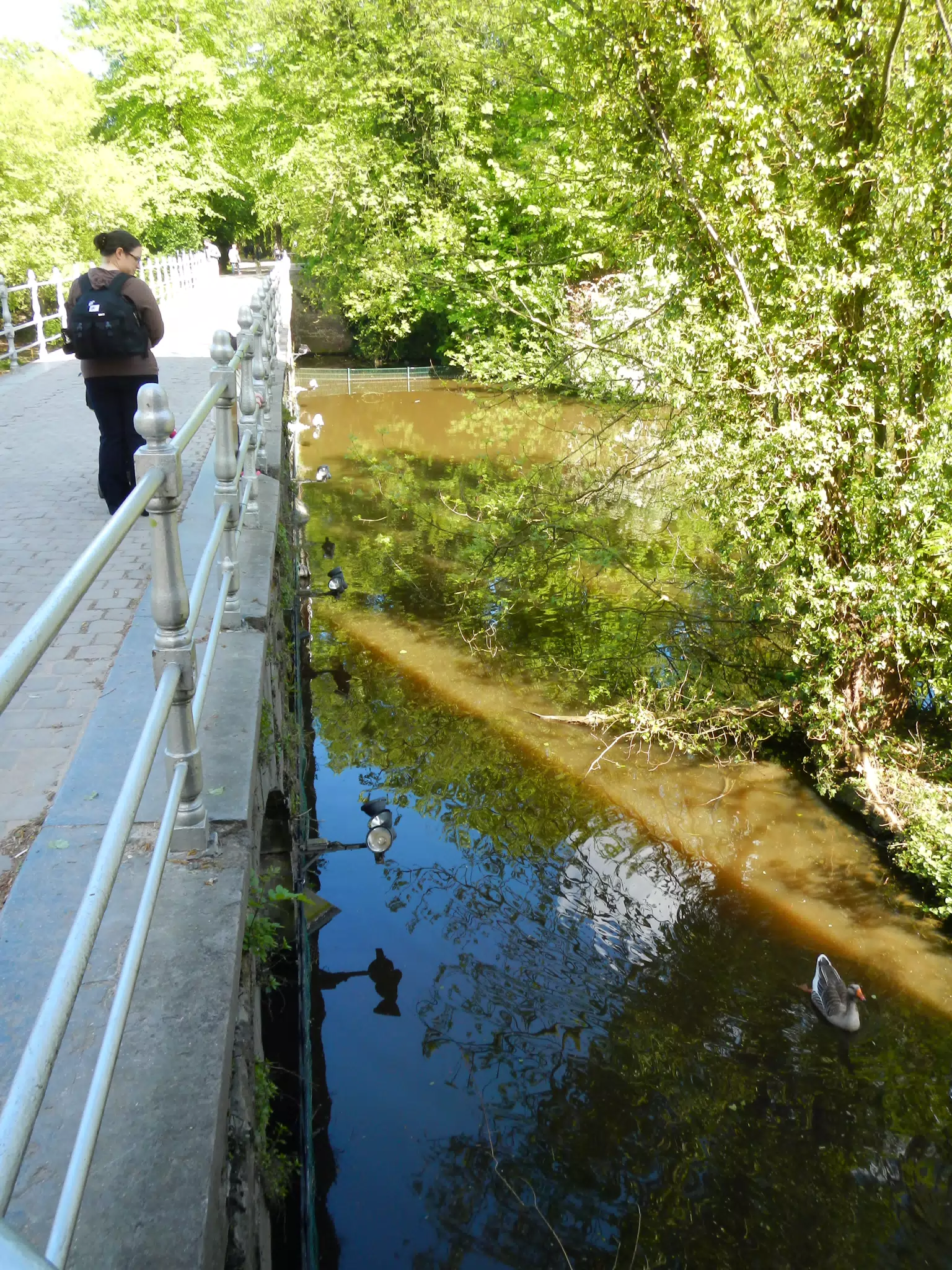 Dominica on a Bridge in Bruges