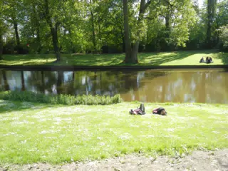 People Sleeping Along Canal in Bruges