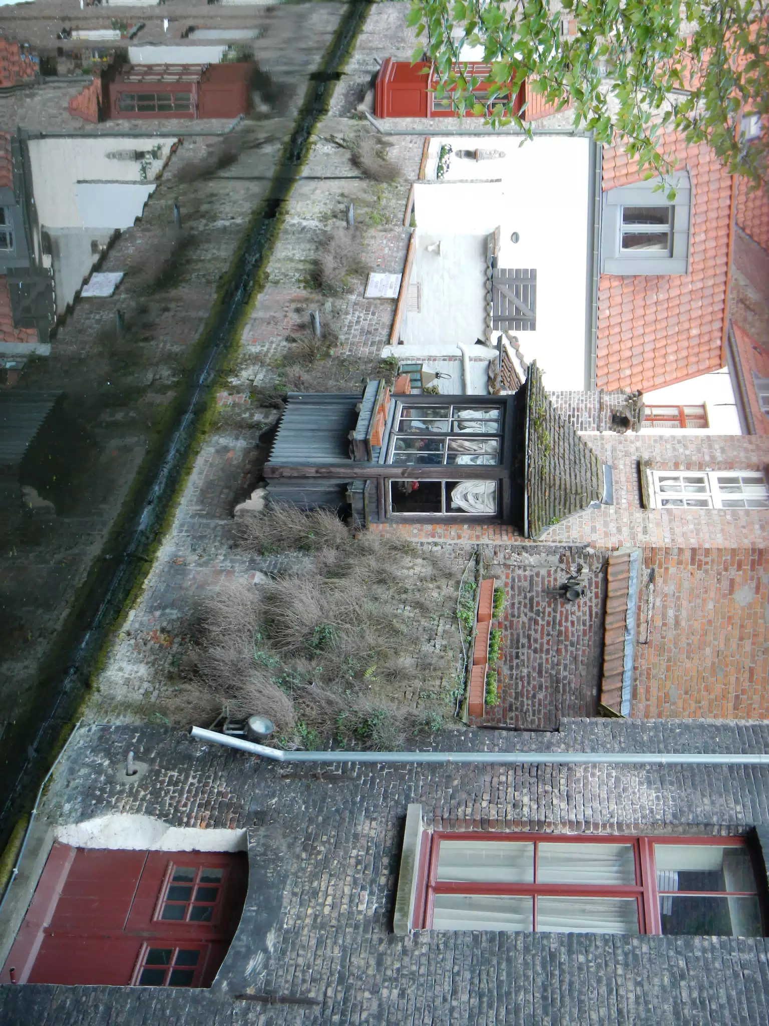 DSCN0365