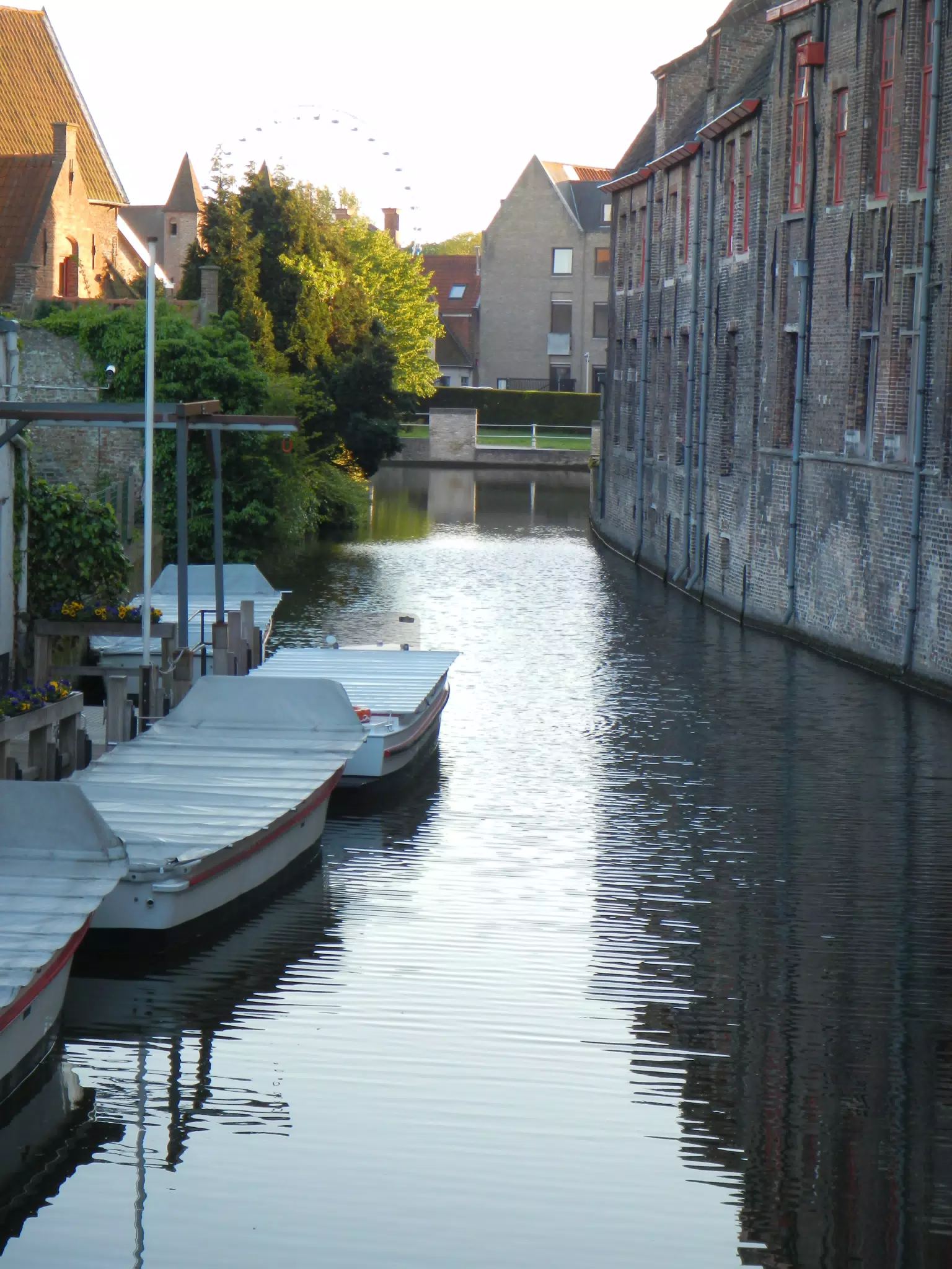 DSCN0359
