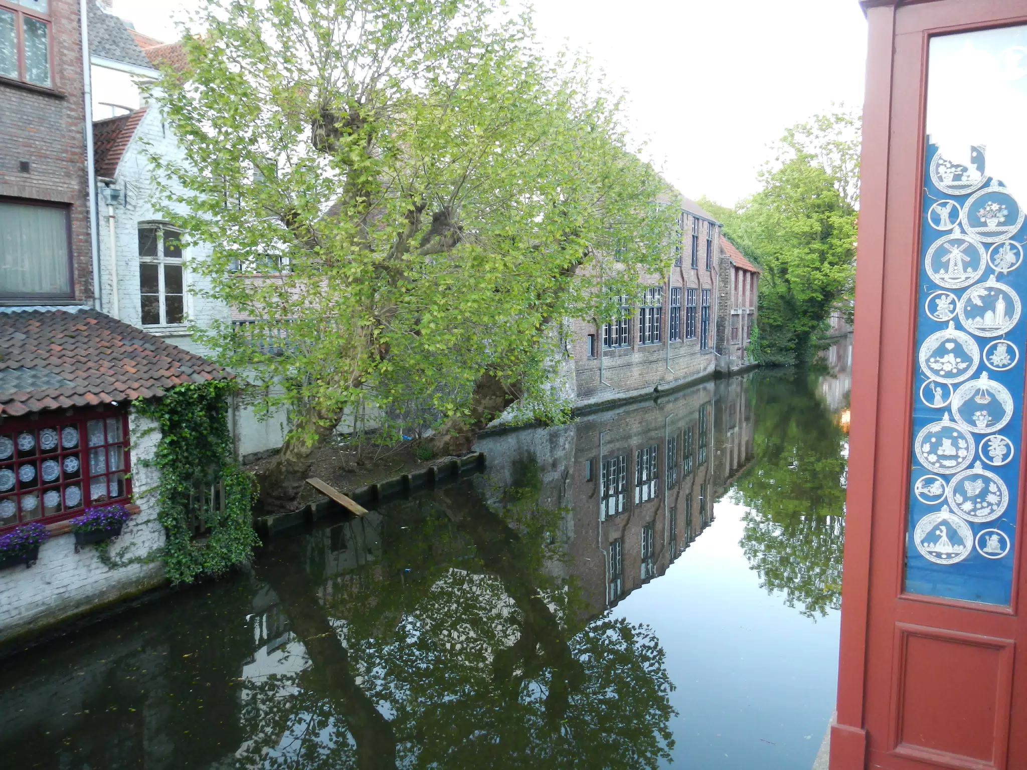 DSCN0351
