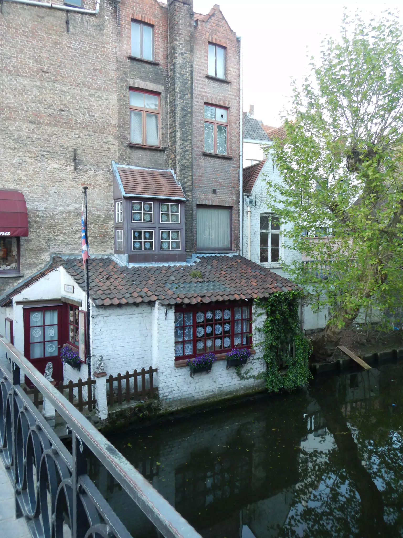 DSCN0350