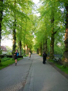 DSCN0327