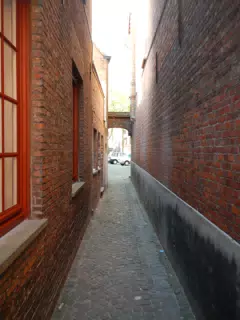 DSCN0511