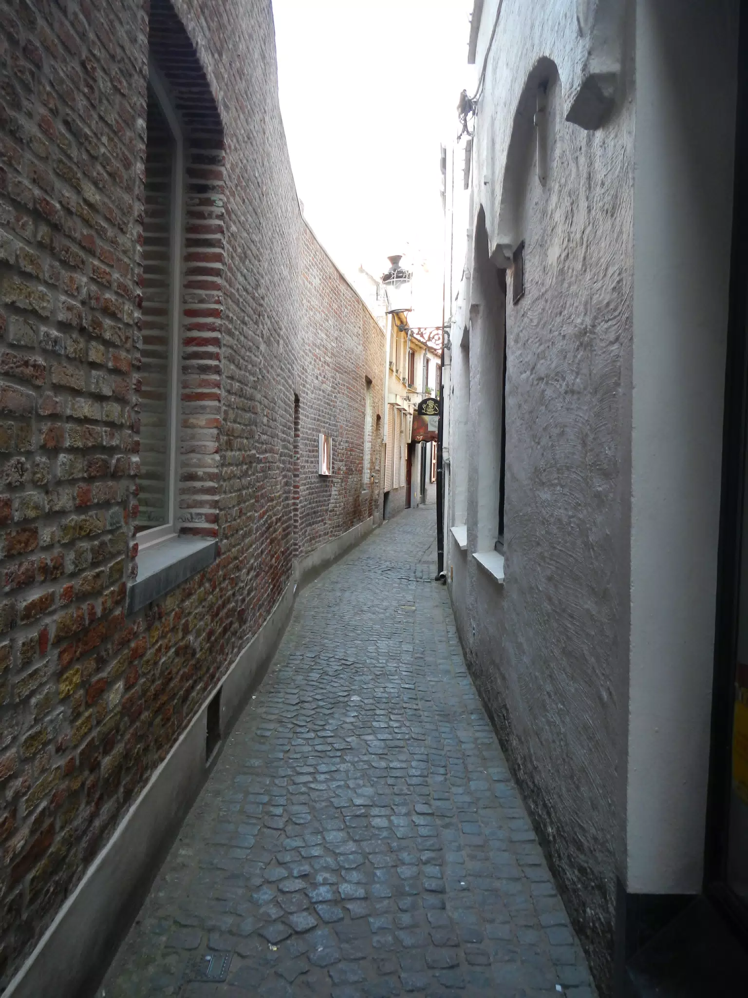 DSCN0510