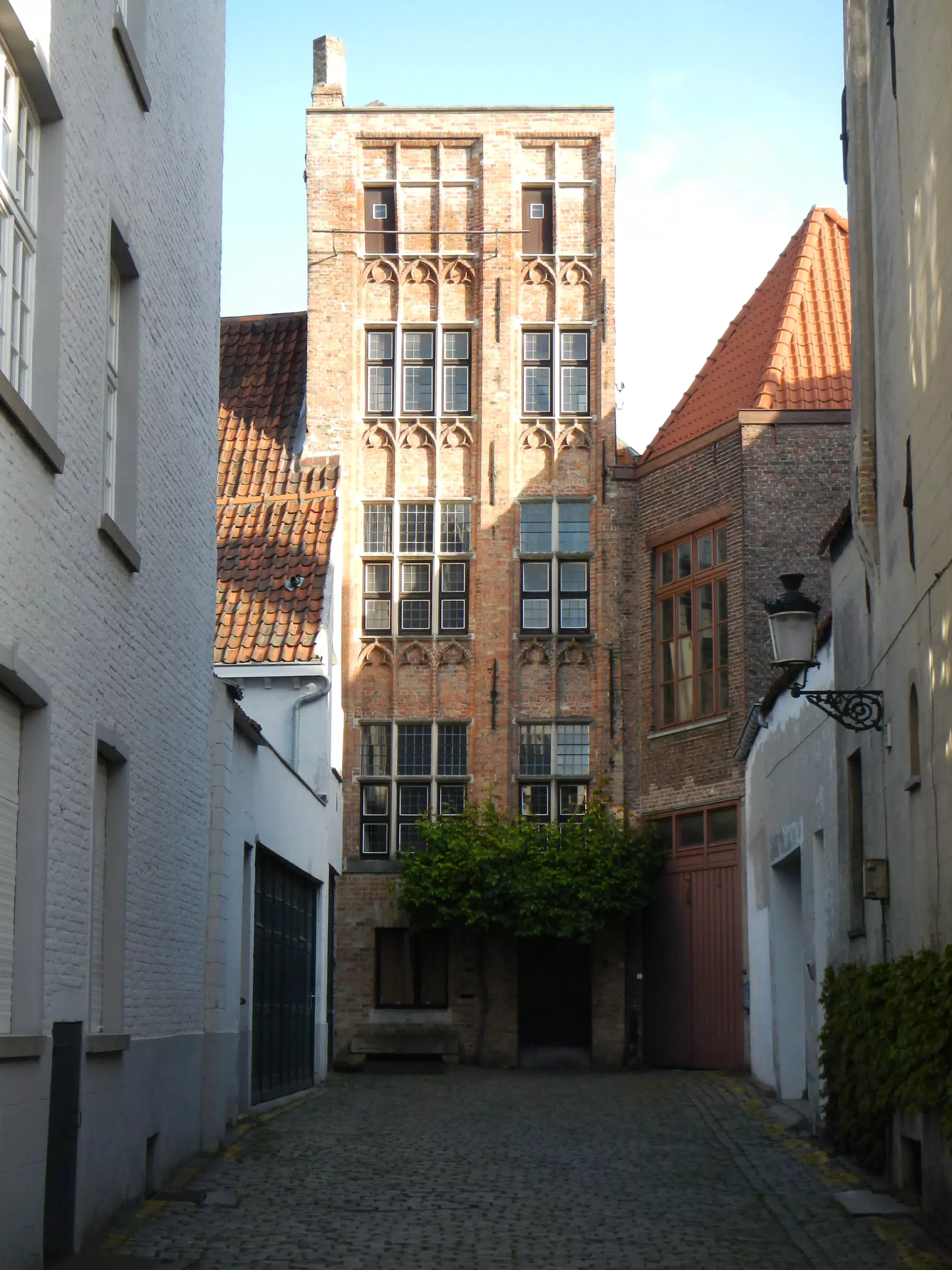 DSCN0501