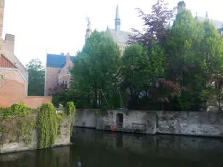 DSCN0487