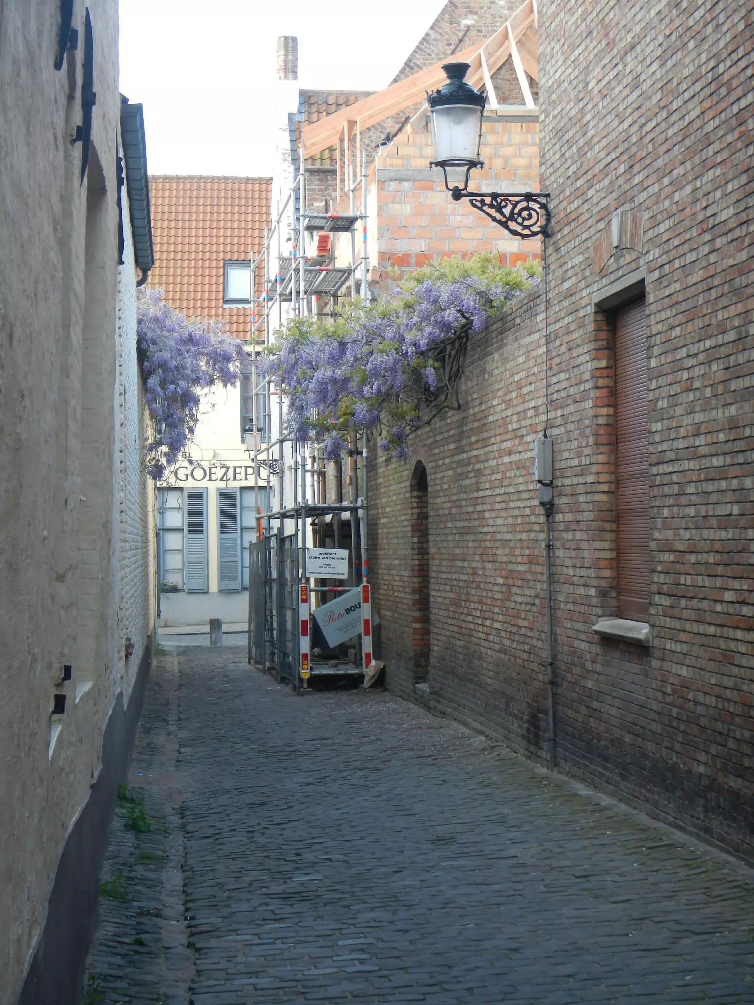DSCN0451