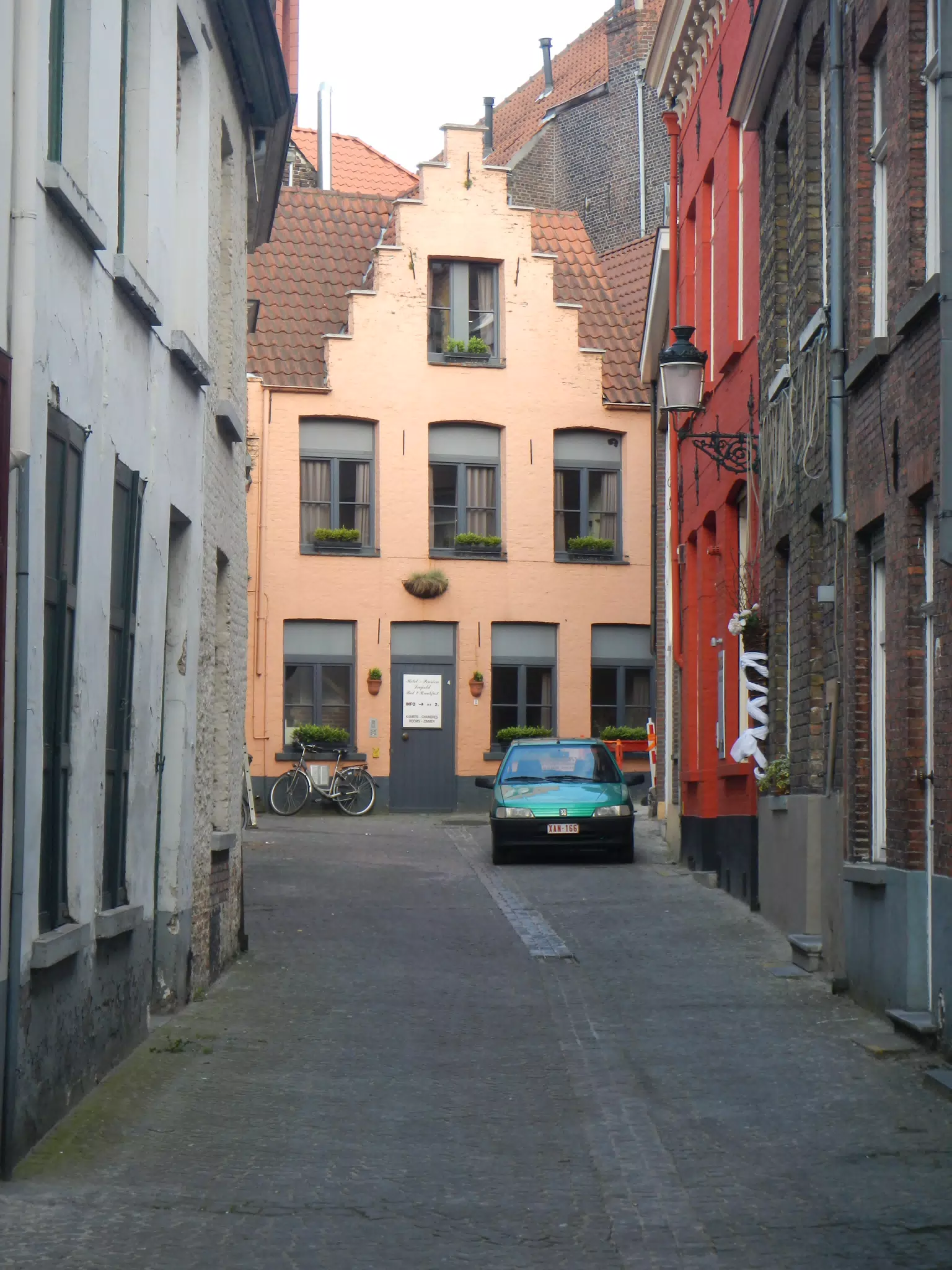 DSCN0446