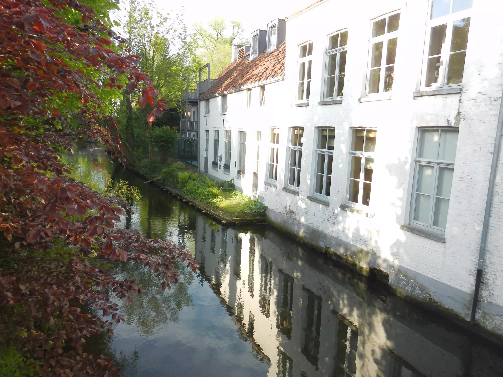 Canal in Brugge
