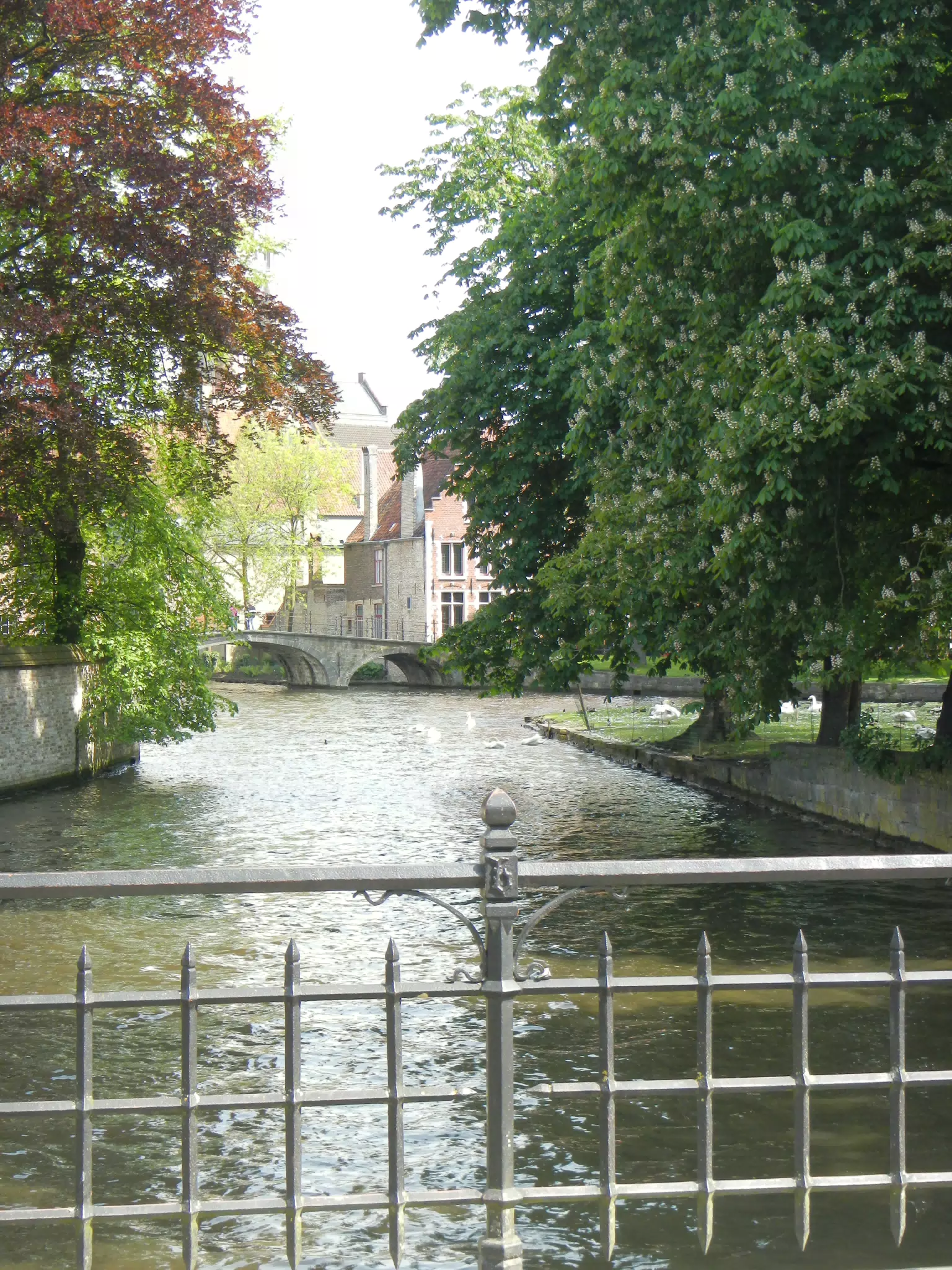 DSCN0525