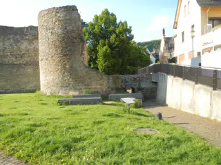 DSCN0645