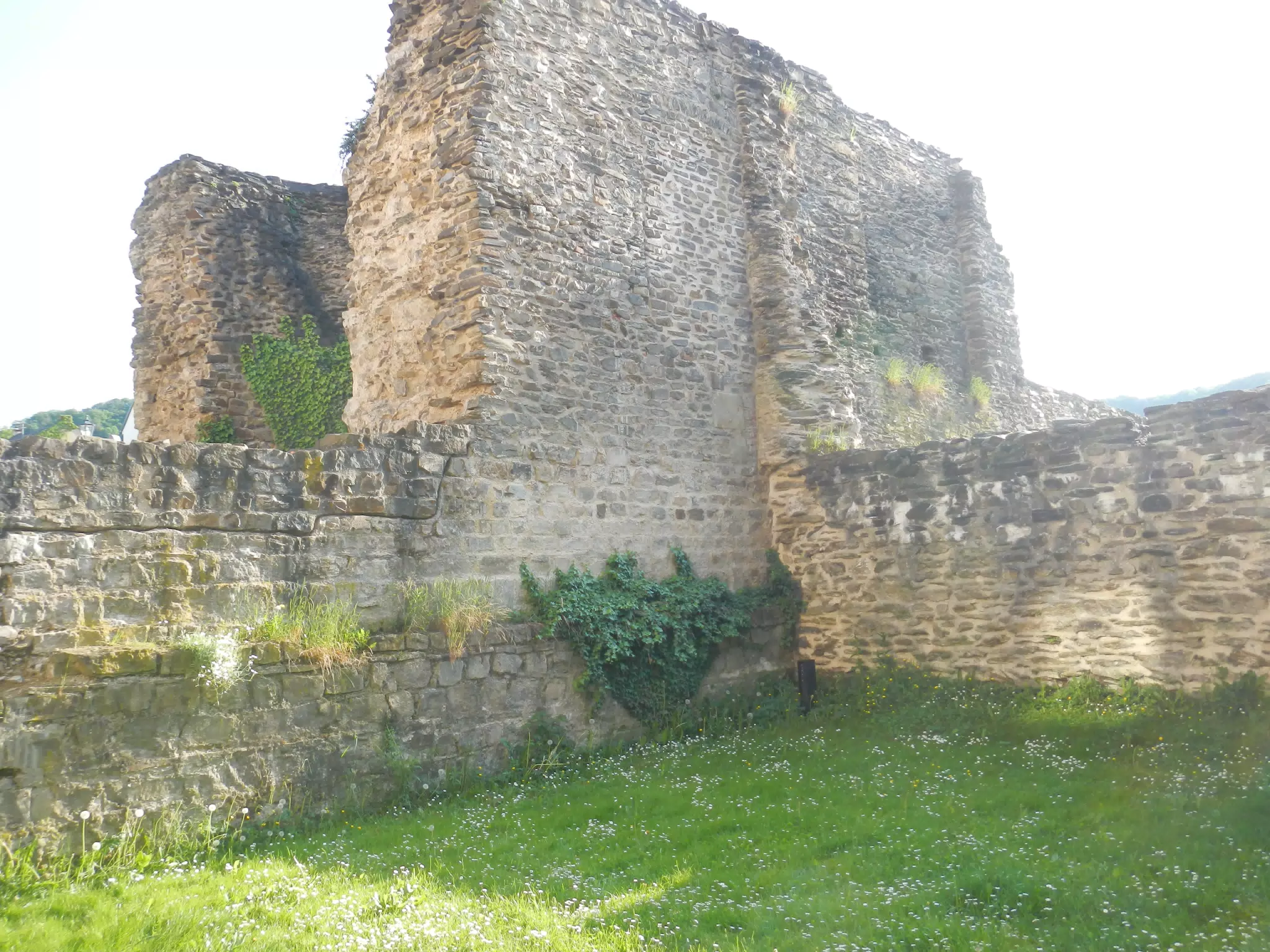 DSCN0637