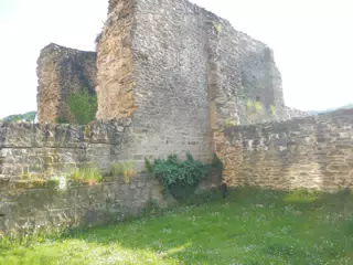 DSCN0637