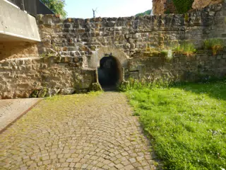 DSCN0636