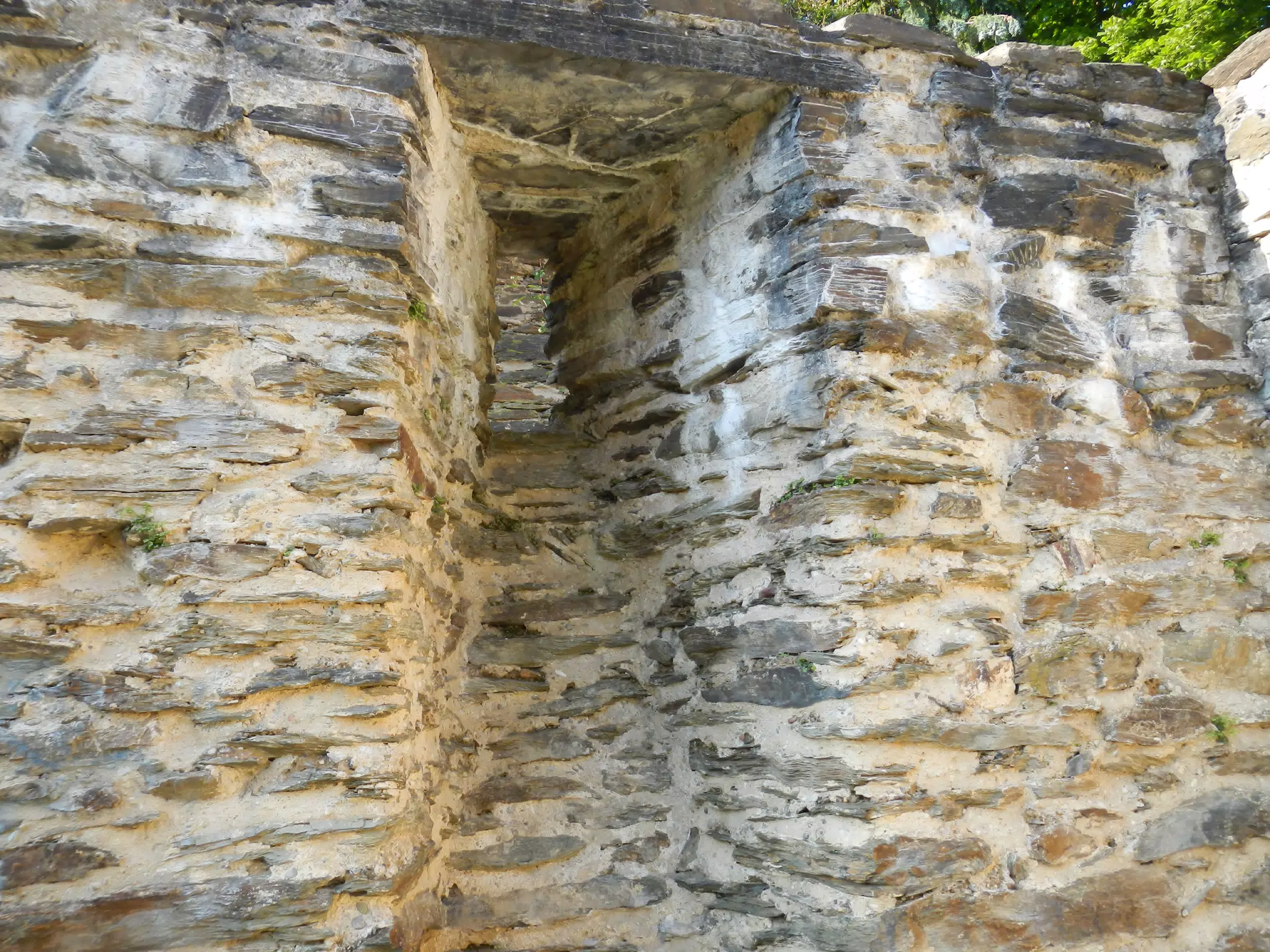 DSCN0632