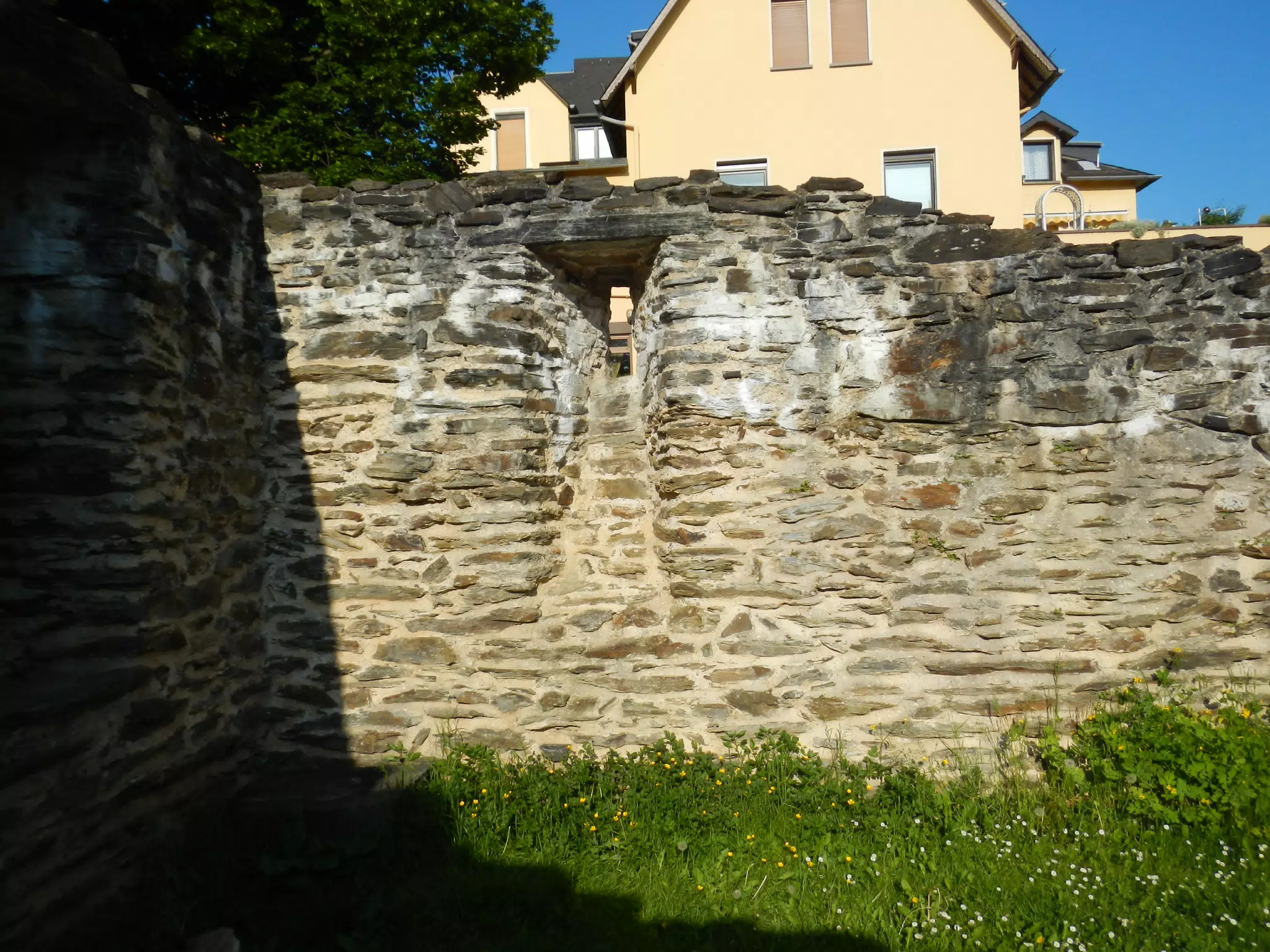 DSCN0631