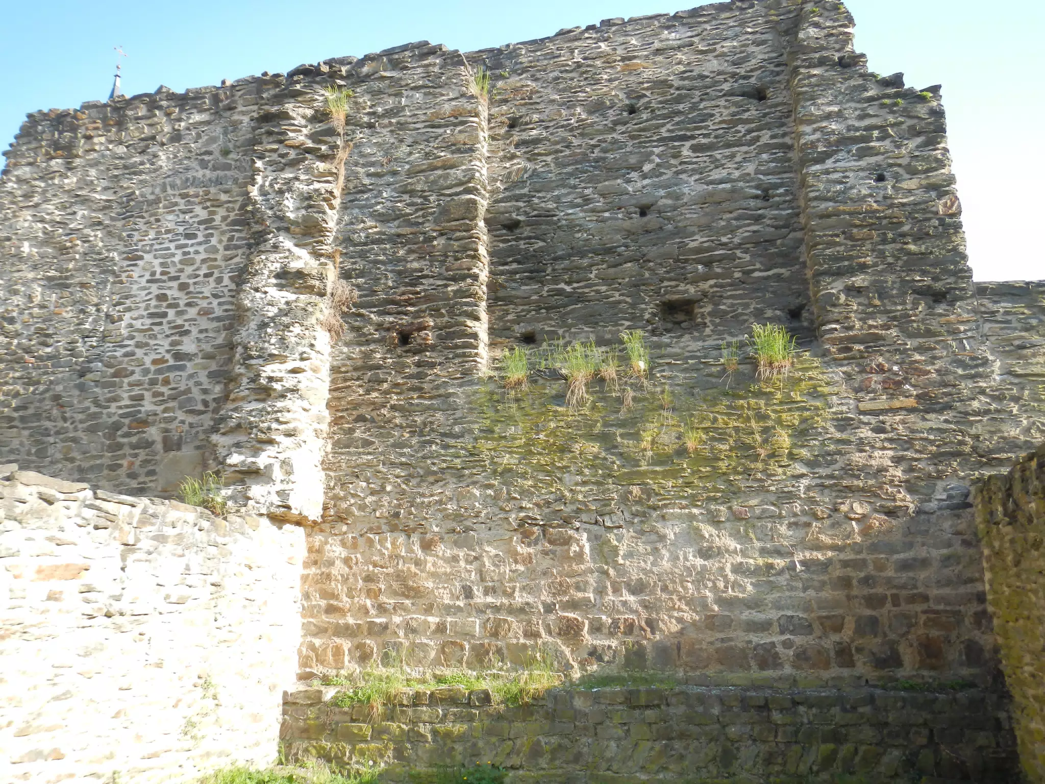 DSCN0630