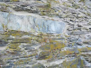 DSCN0621