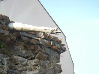 DSCN0617