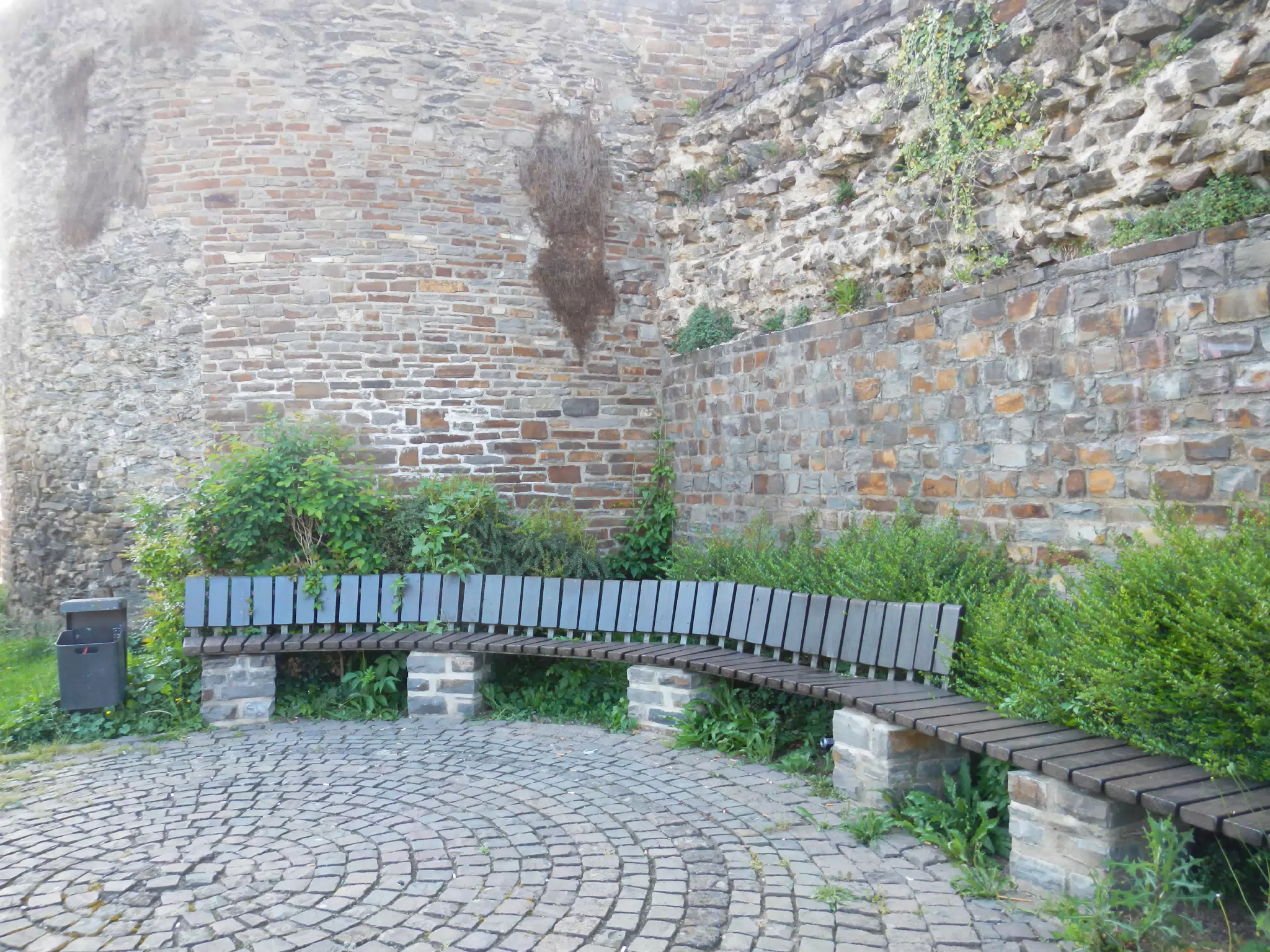 DSCN0615
