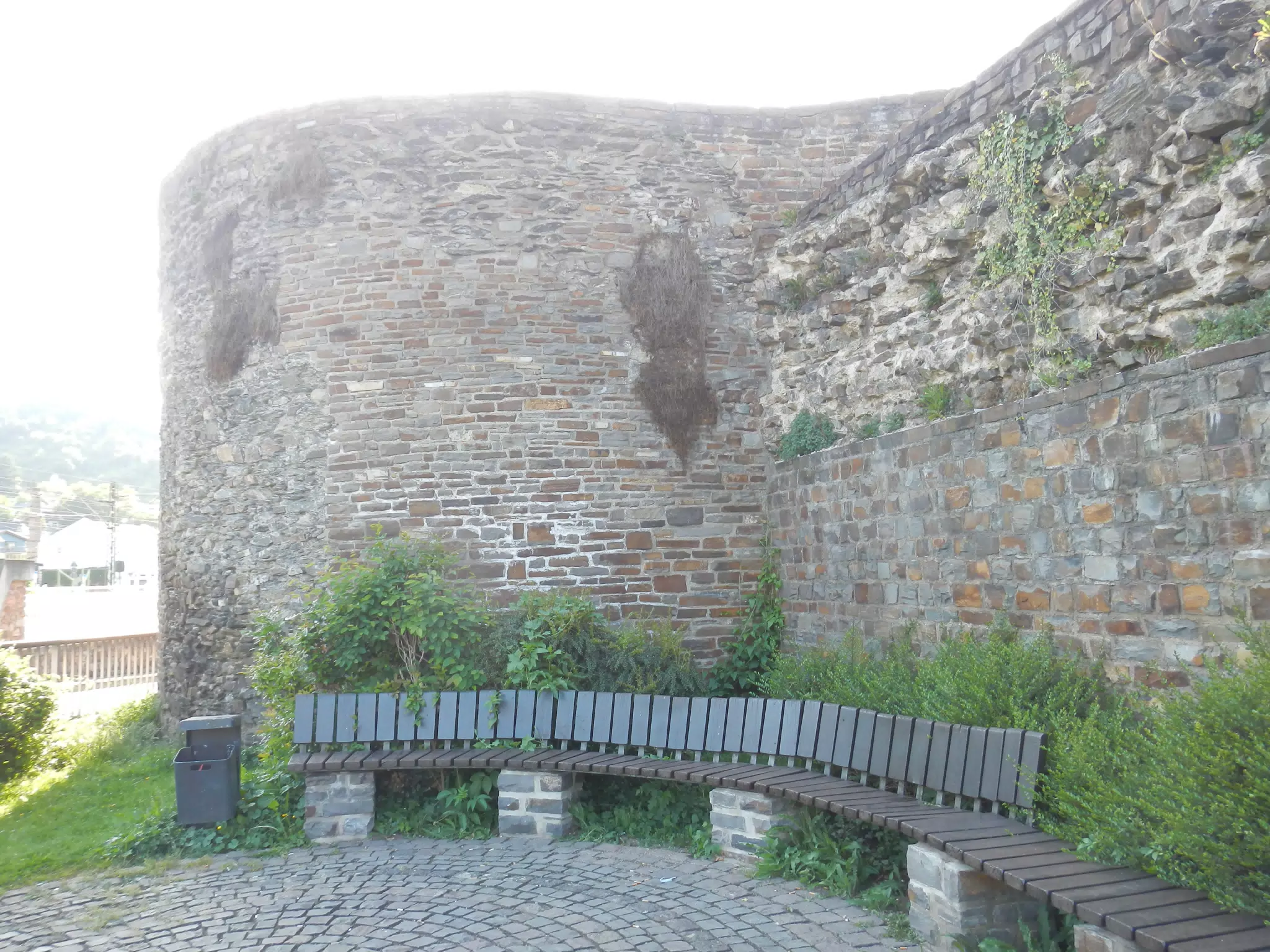 DSCN0614