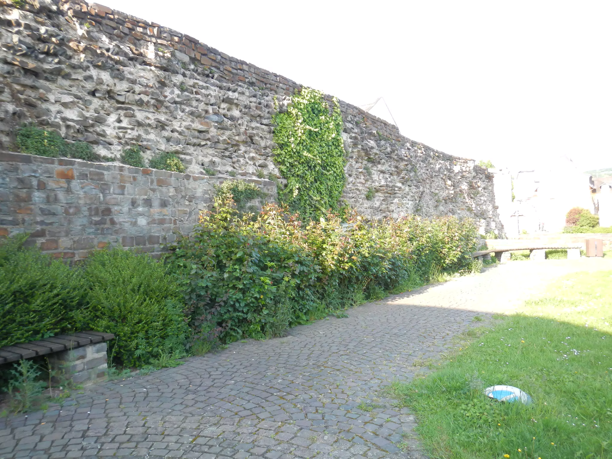 DSCN0613