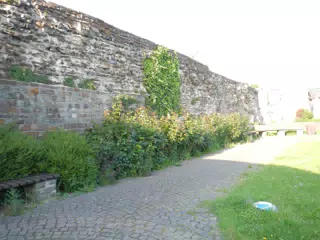 DSCN0613