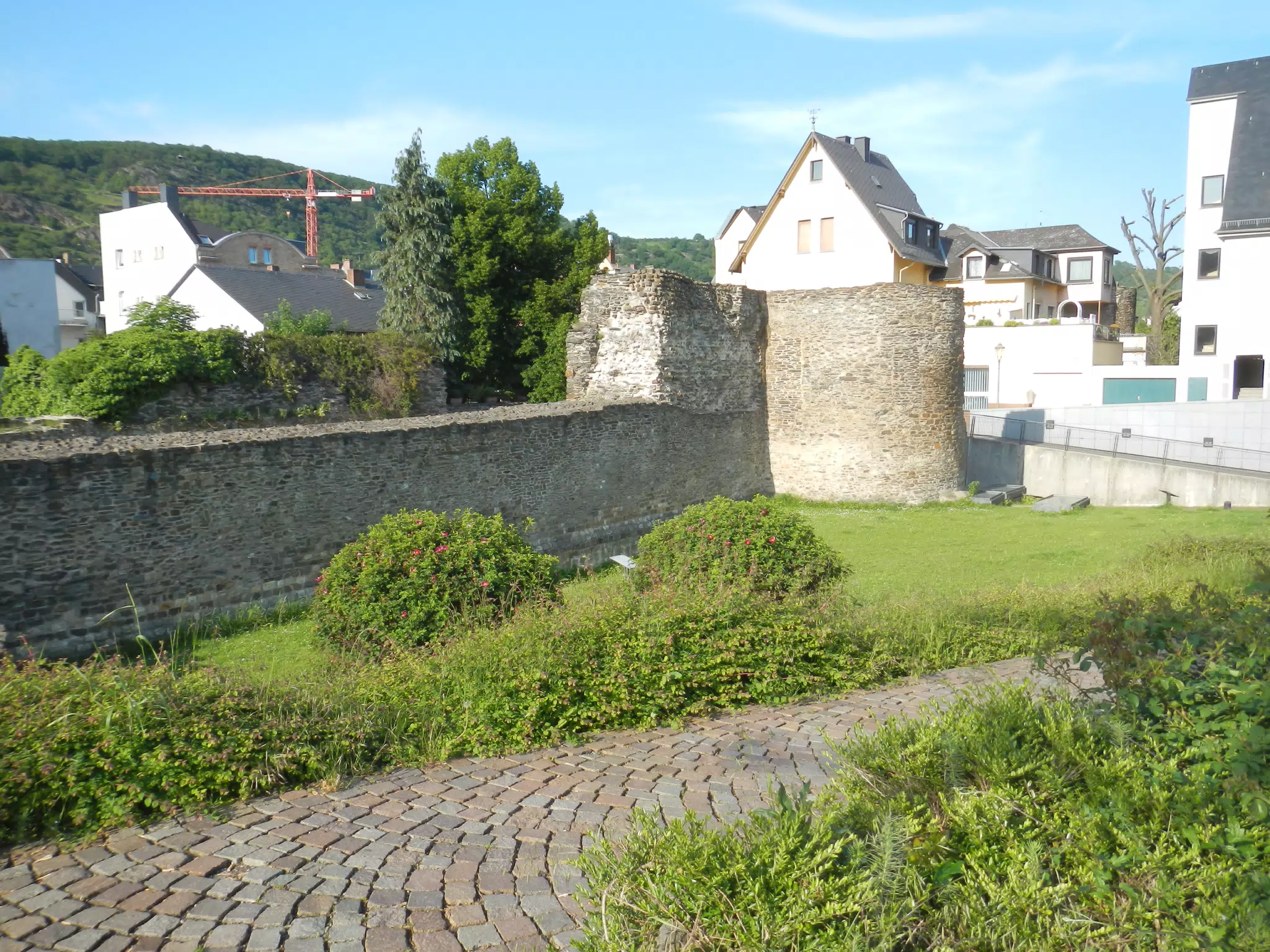 DSCN0609