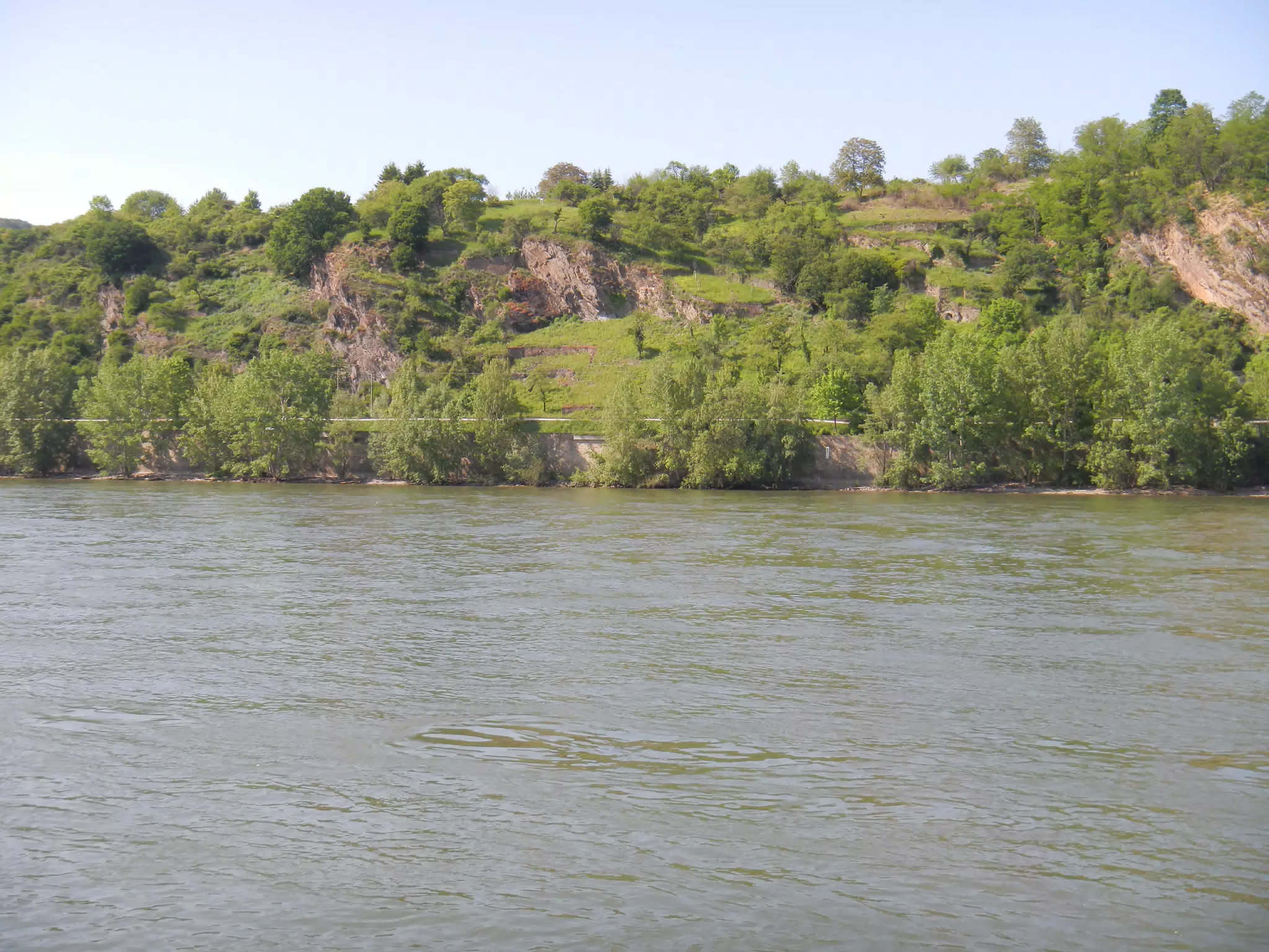 DSCN0602
