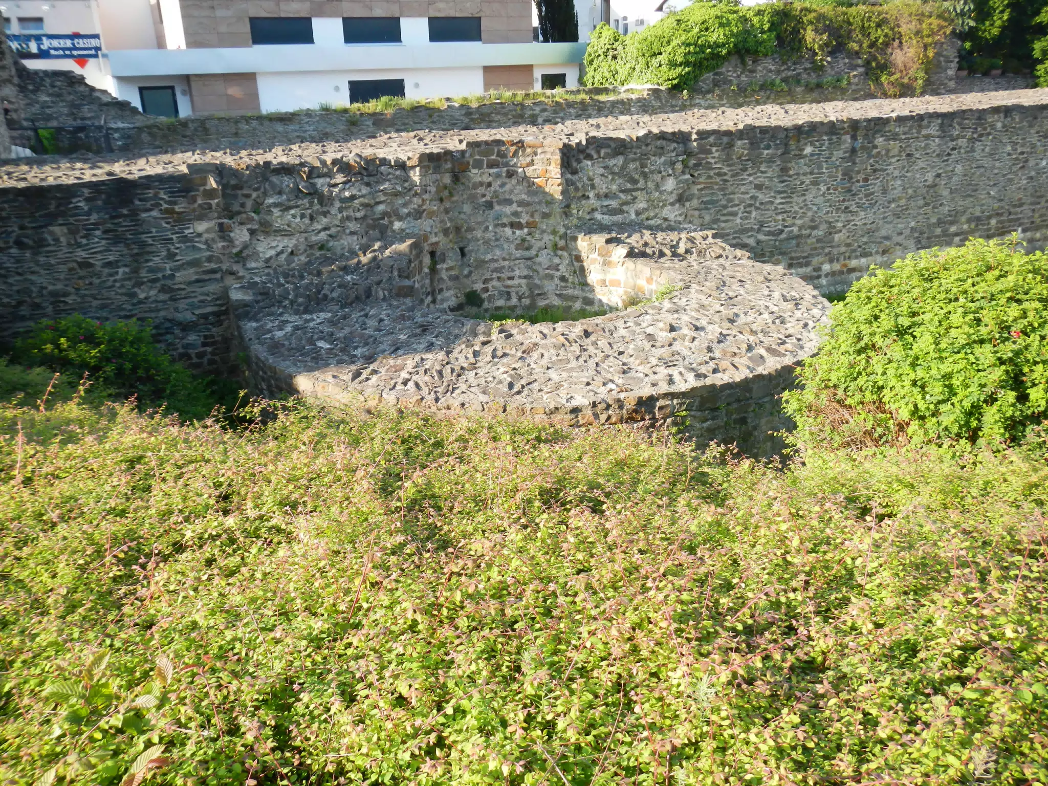 DSCN0652