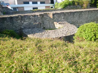 DSCN0652