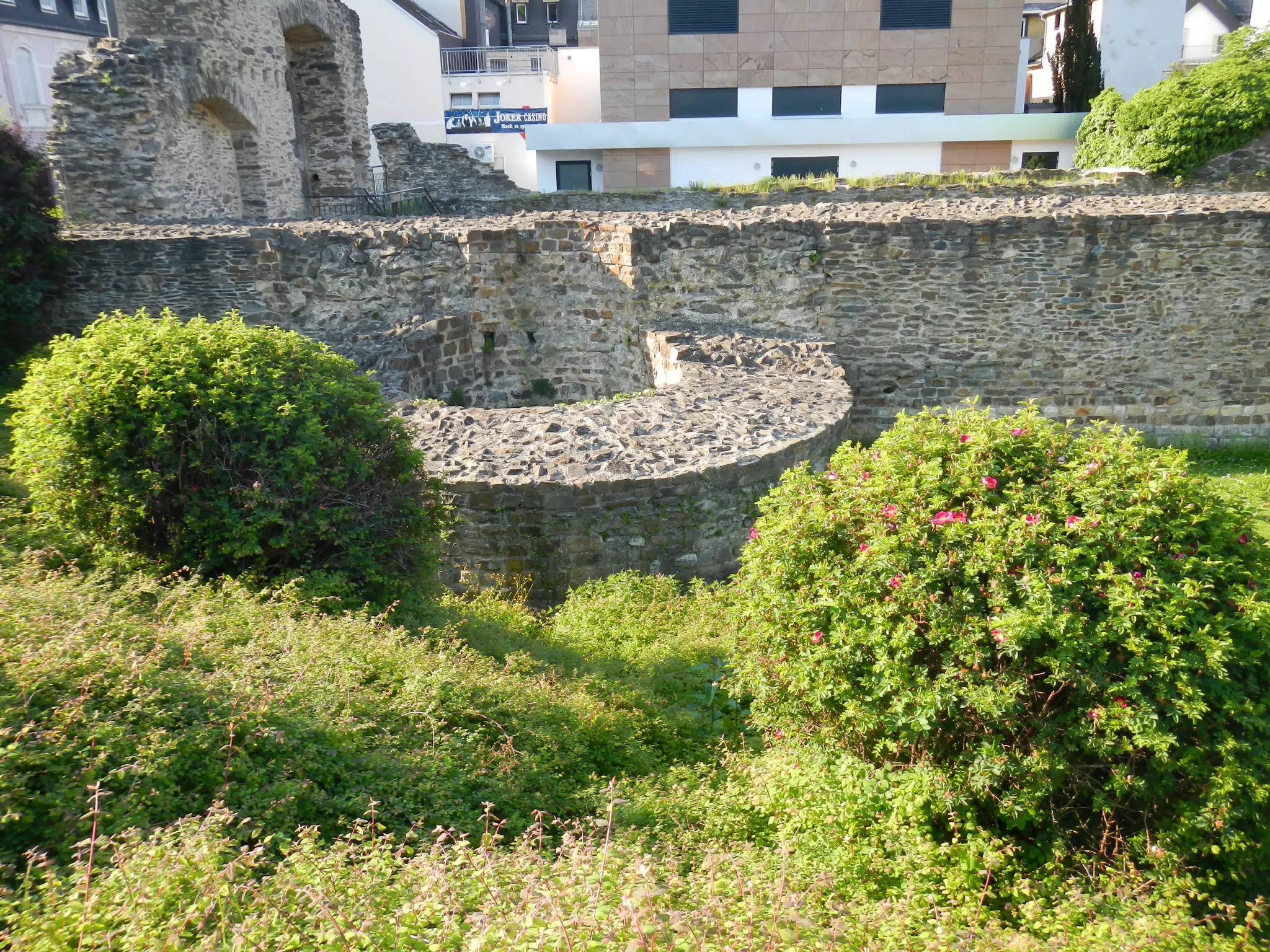 DSCN0651