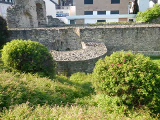 DSCN0651