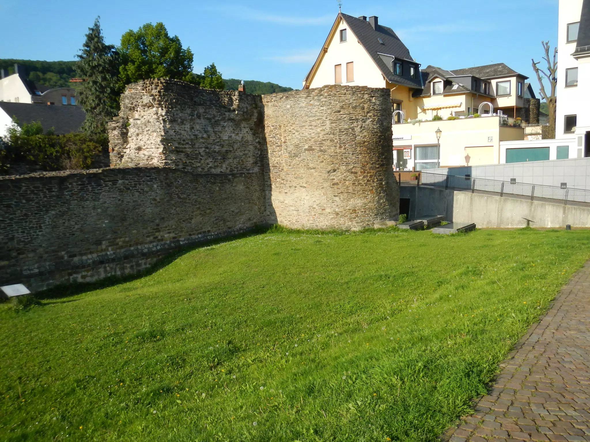DSCN0650