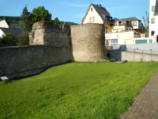 DSCN0650