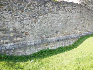 DSCN0648