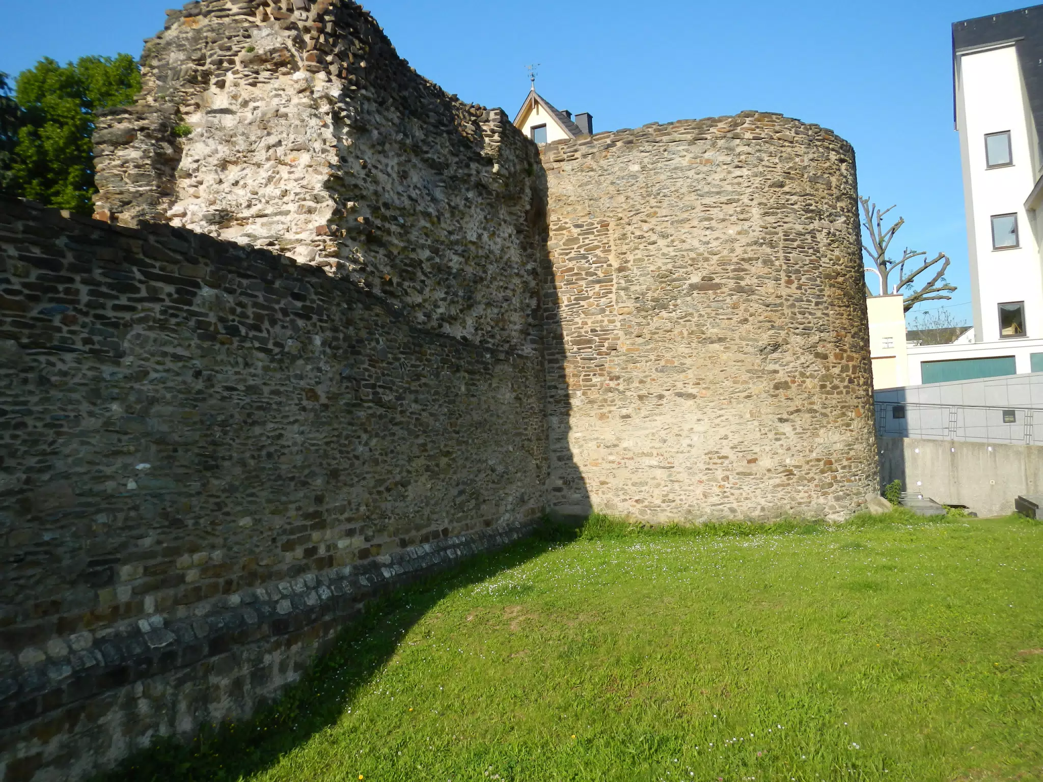 DSCN0647