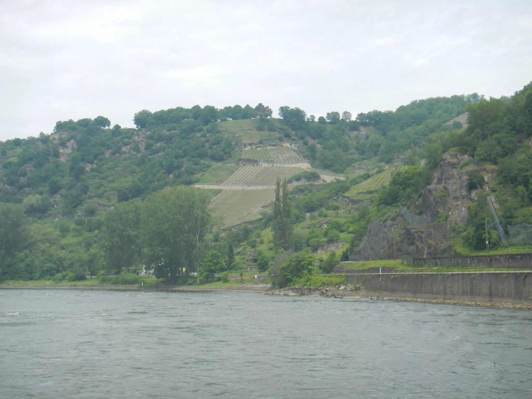 DSCN0746