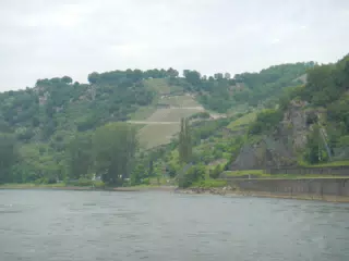 DSCN0746