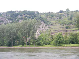 DSCN0743