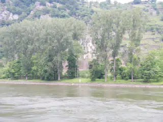 DSCN0742