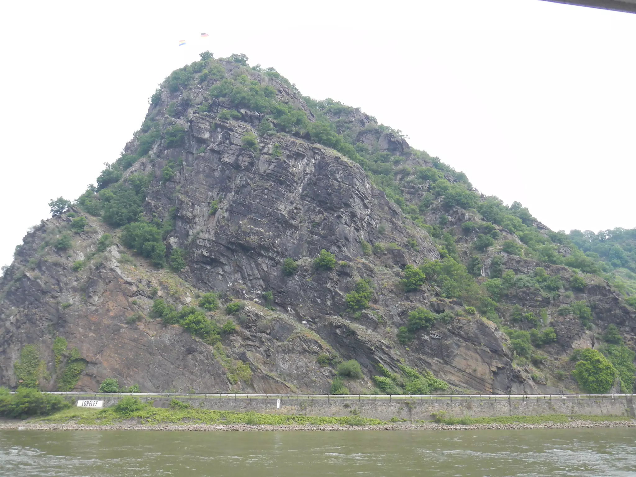 DSCN0741