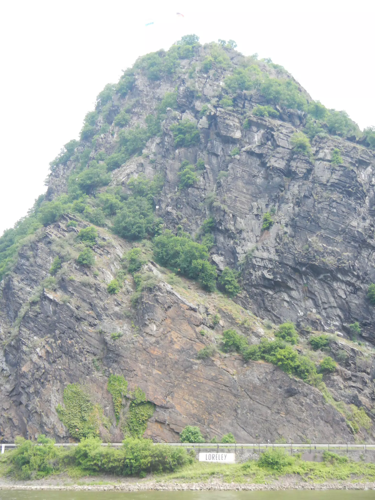 DSCN0740